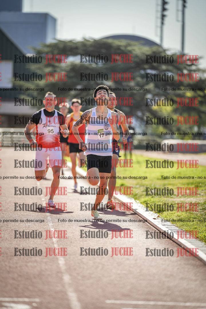 Fotos de los 800 m llanos de varones