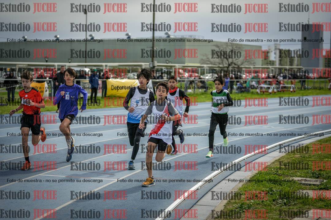 Fotos de los 800 m llanos de varones - U14