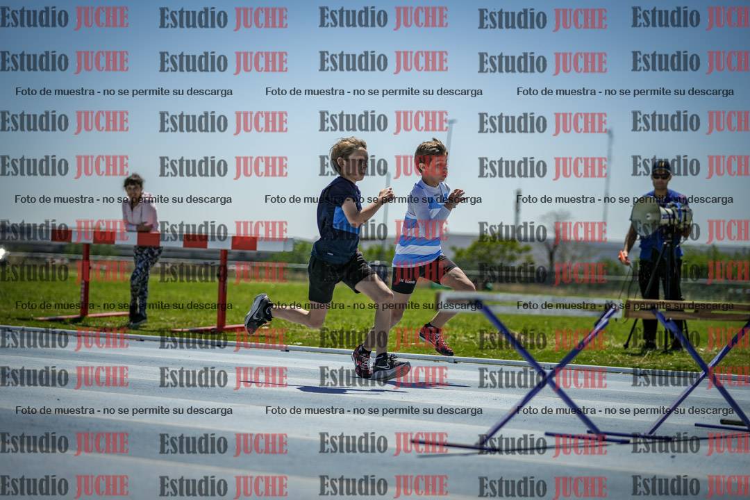 Fotos de los 60 m con vallas de varones