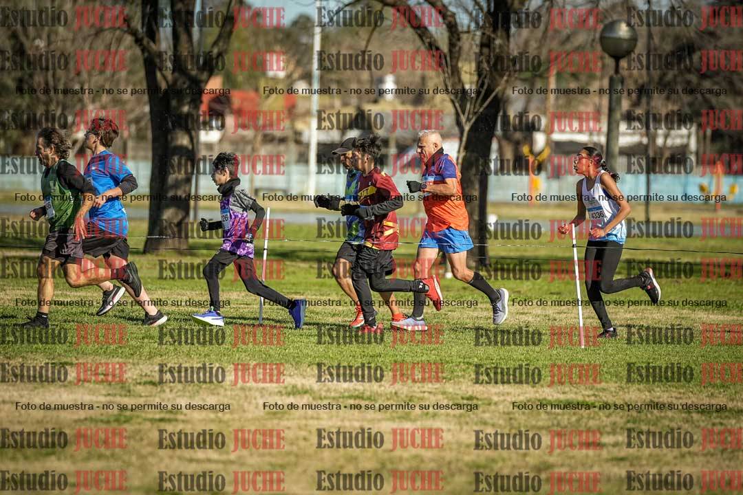 Fotos en el circuito