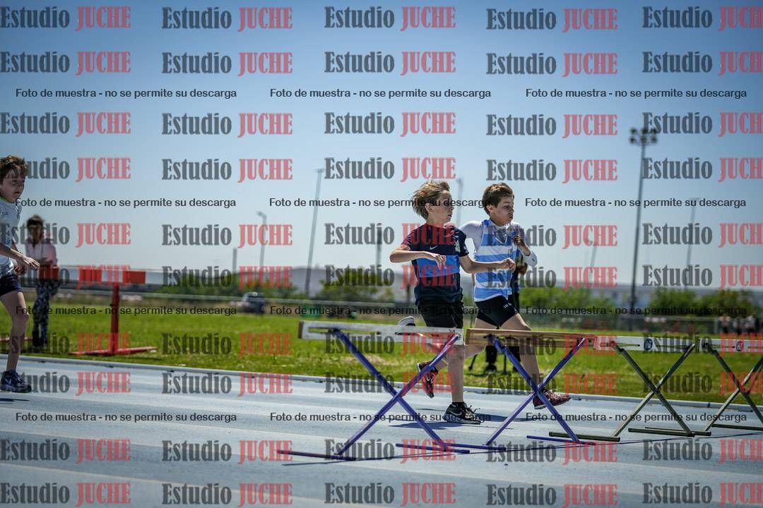 Fotos de los 60 m con vallas de varones