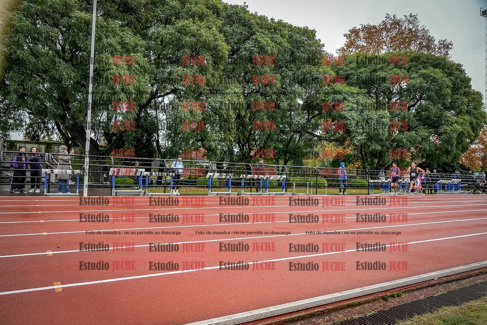 Fotos de los 100 m llanos de varones