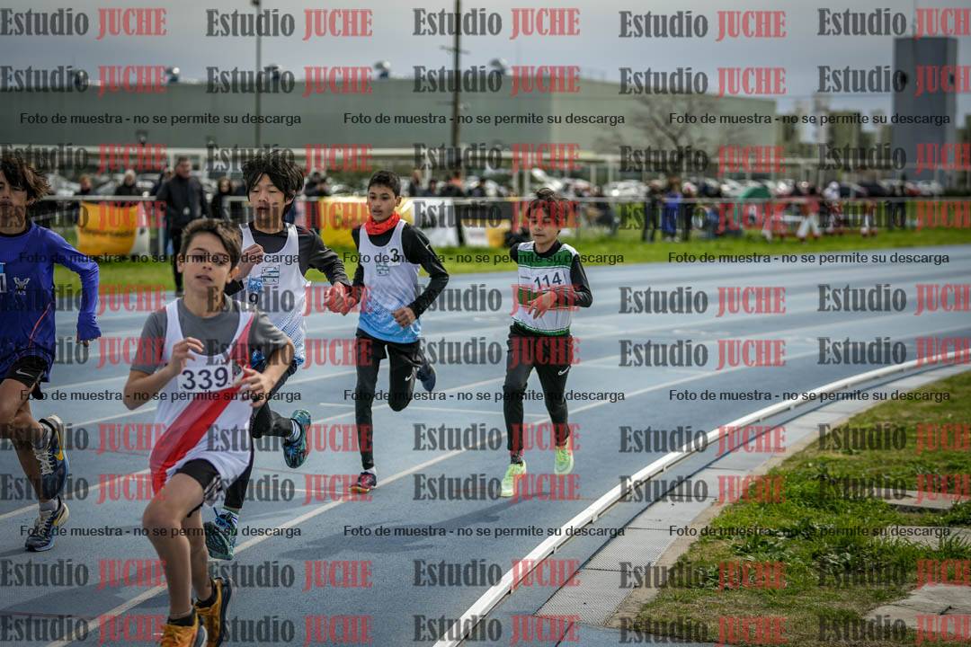 Fotos de los 800 m llanos de varones - U14