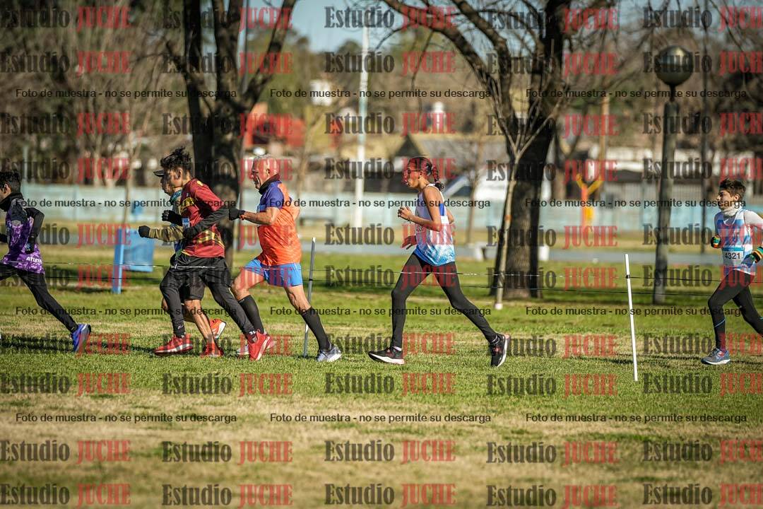 Fotos en el circuito