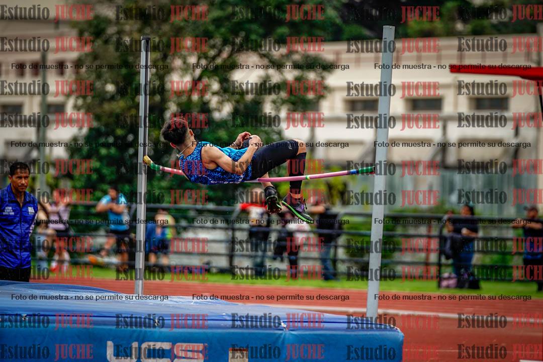 Fotos del salto en alto de varones