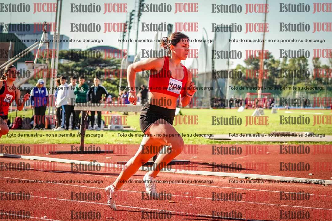 Fotos de los 800 m llanos de mujeres