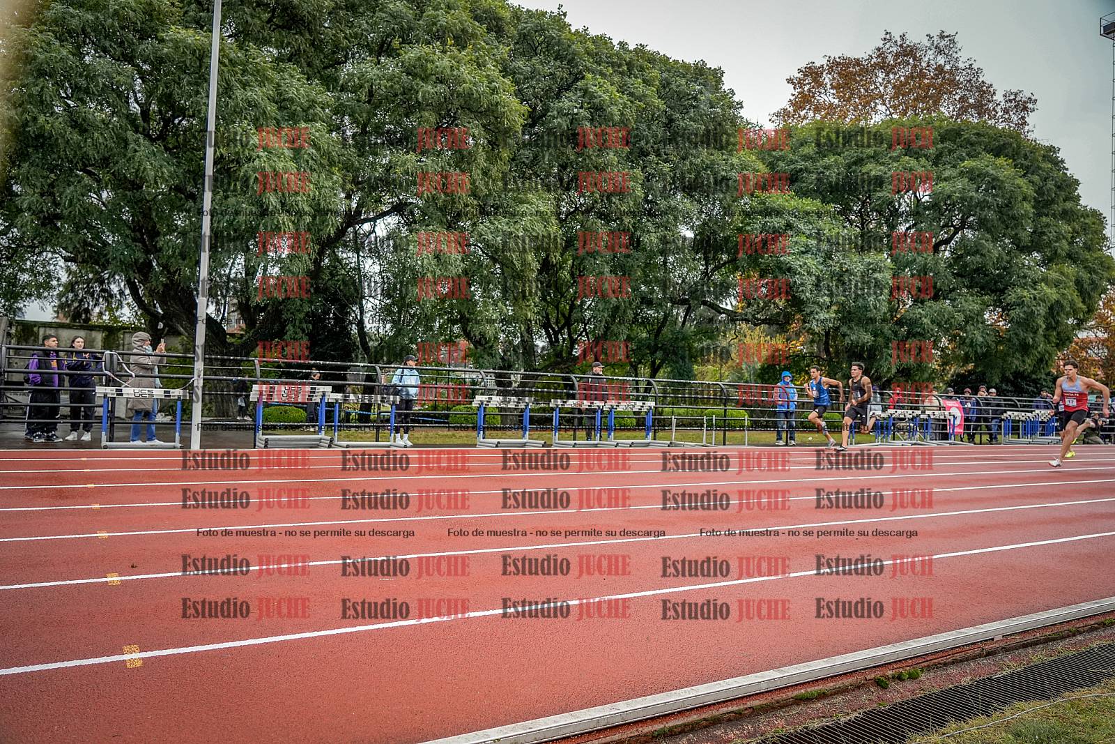 Fotos de los 100 m llanos de varones
