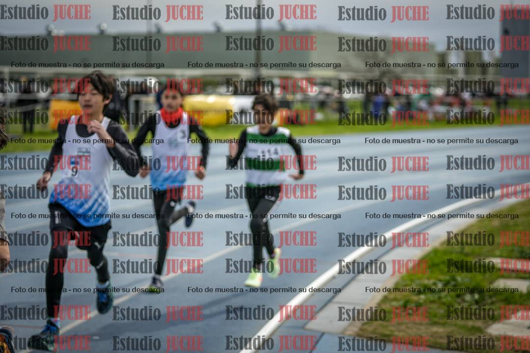 Fotos de los 800 m llanos de varones - U14