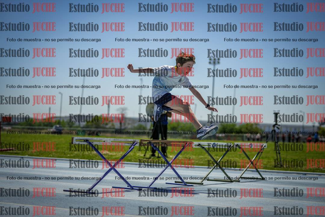 Fotos de los 60 m con vallas de varones