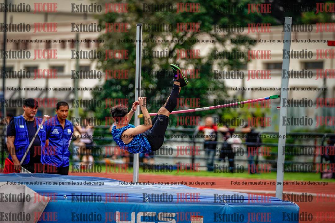 Fotos del salto en alto de varones