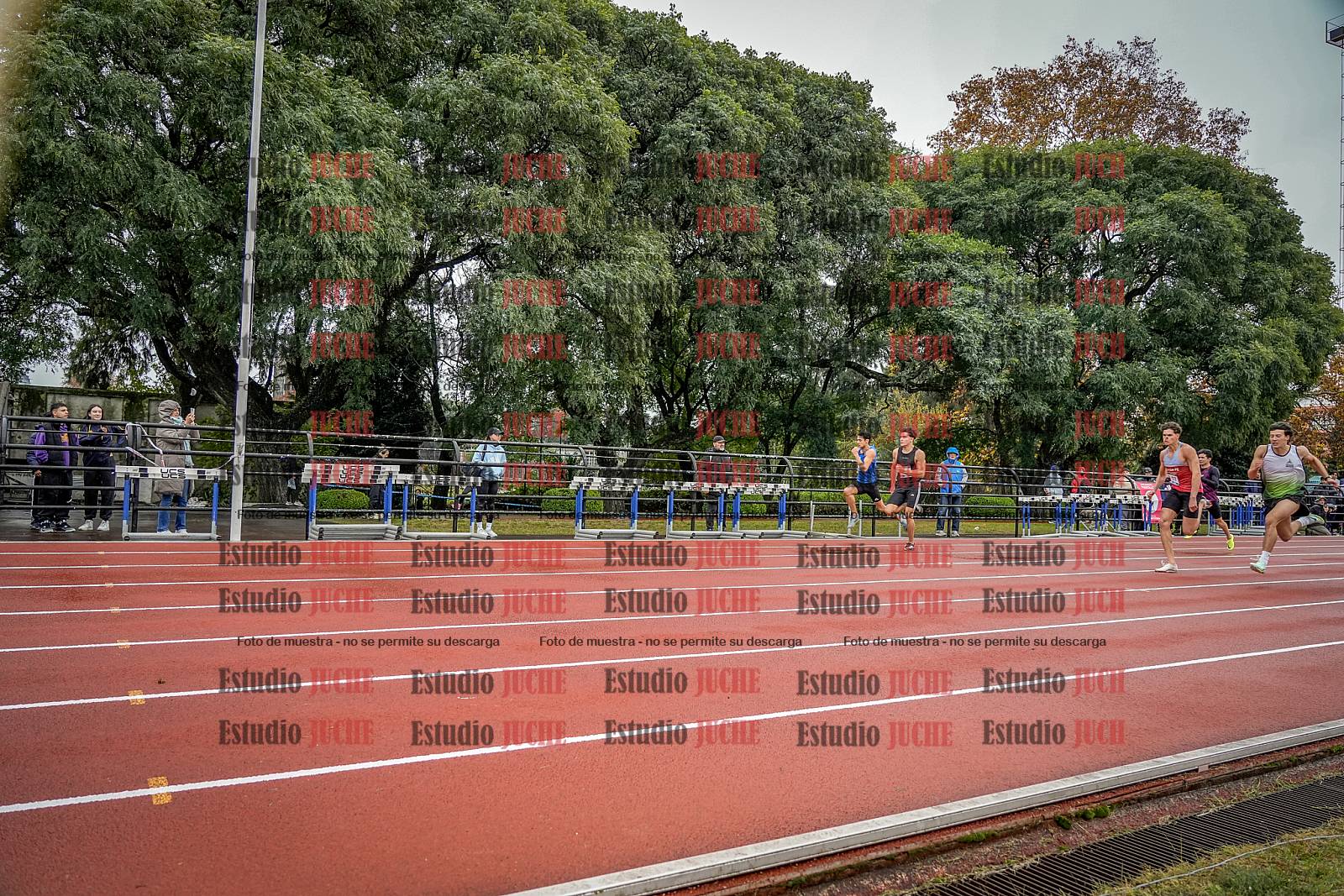 Fotos de los 100 m llanos de varones