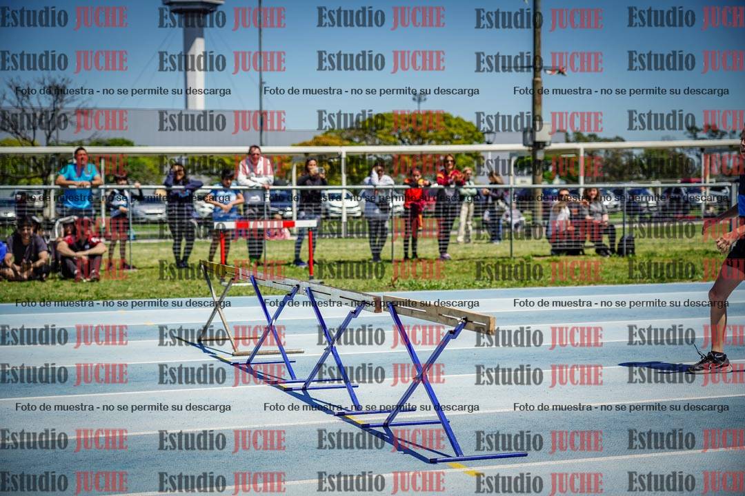 Fotos de los 60 m con vallas de varones