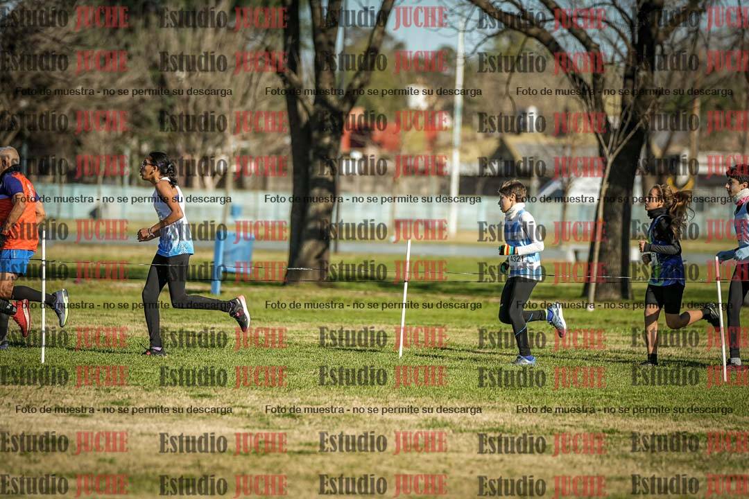 Fotos en el circuito