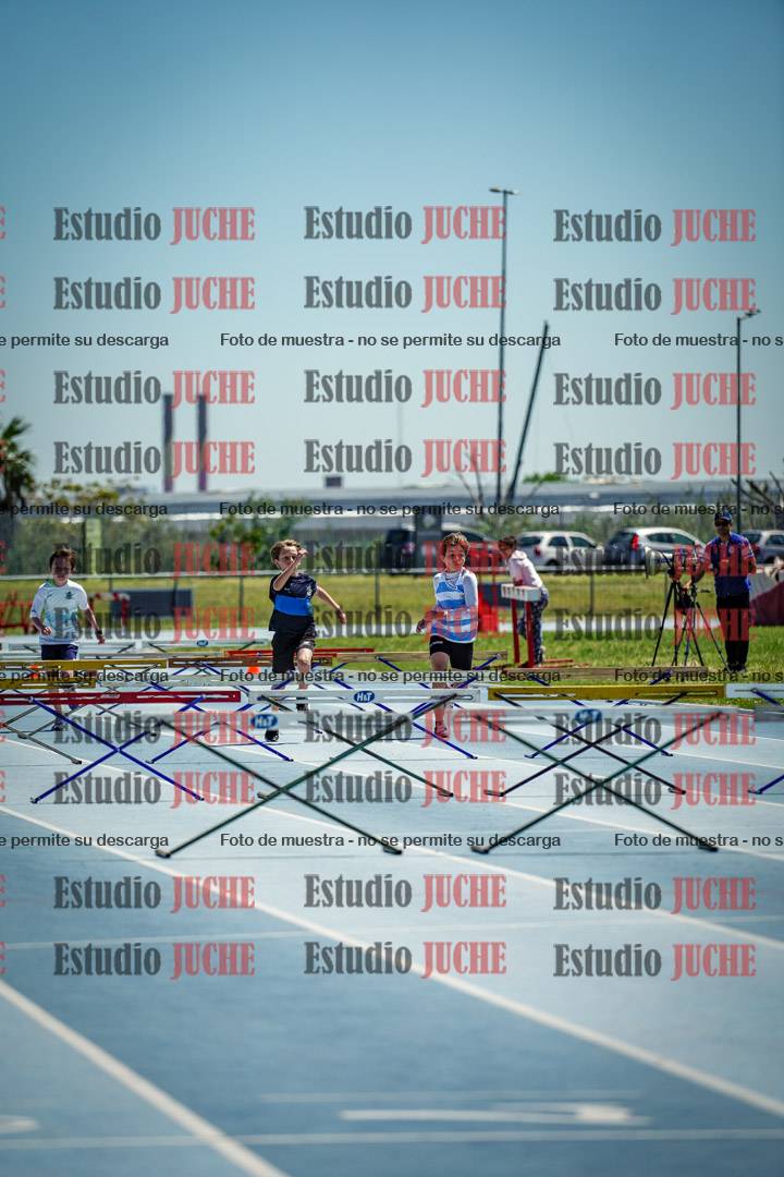Fotos de los 60 m con vallas de varones