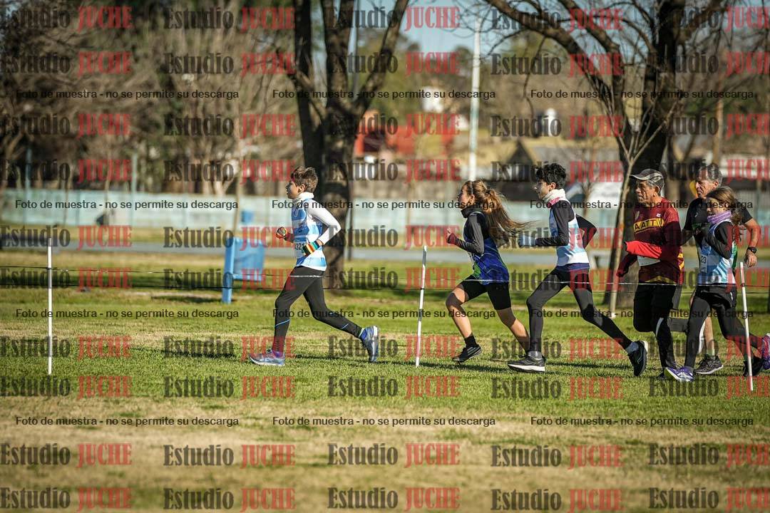 Fotos en el circuito