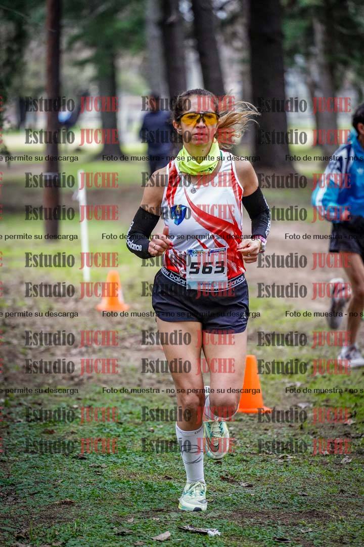 Fotos en el circuito