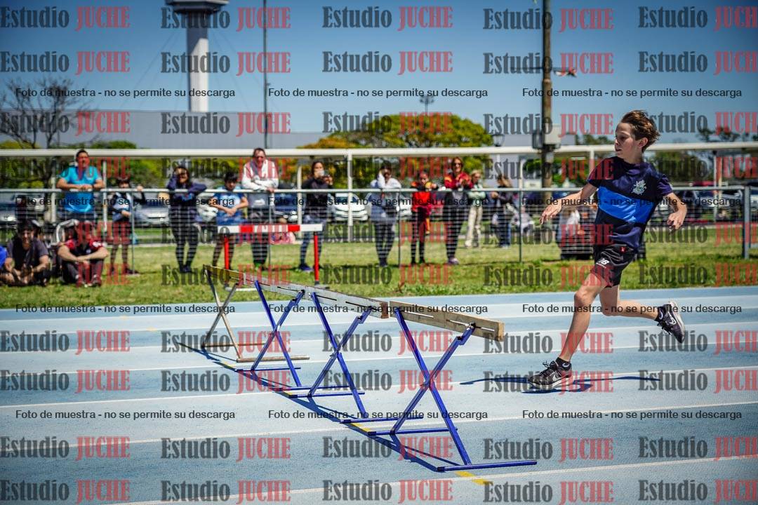 Fotos de los 60 m con vallas de varones