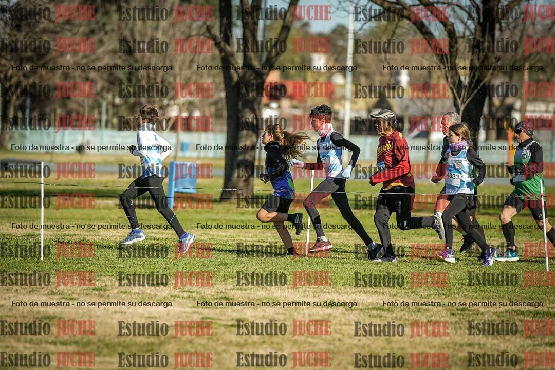 Fotos en el circuito