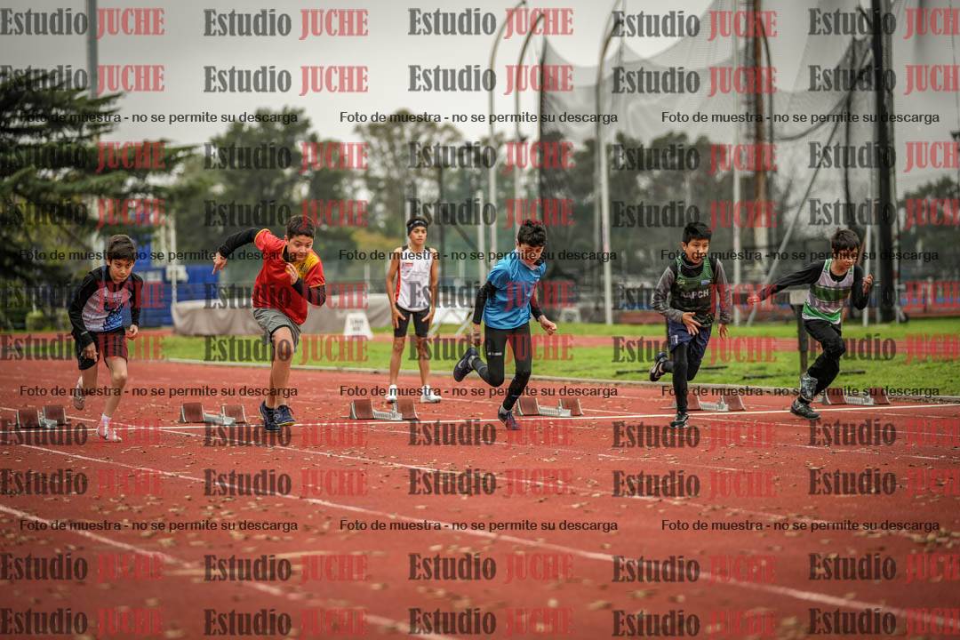 Fotos de los 50 m llanos de varones