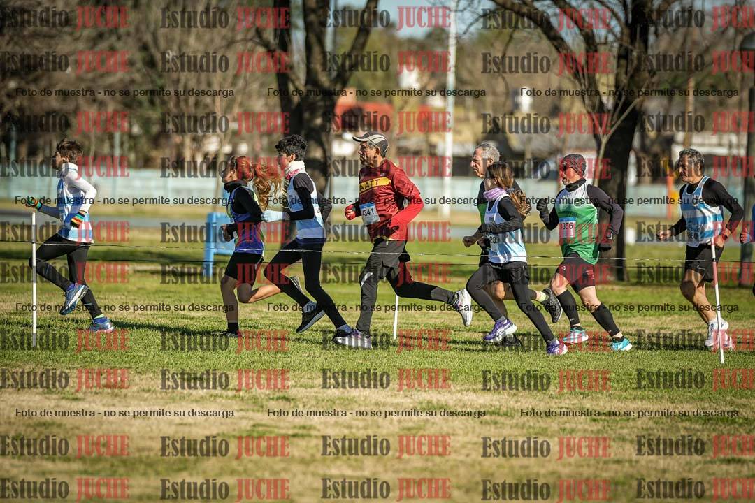 Fotos en el circuito