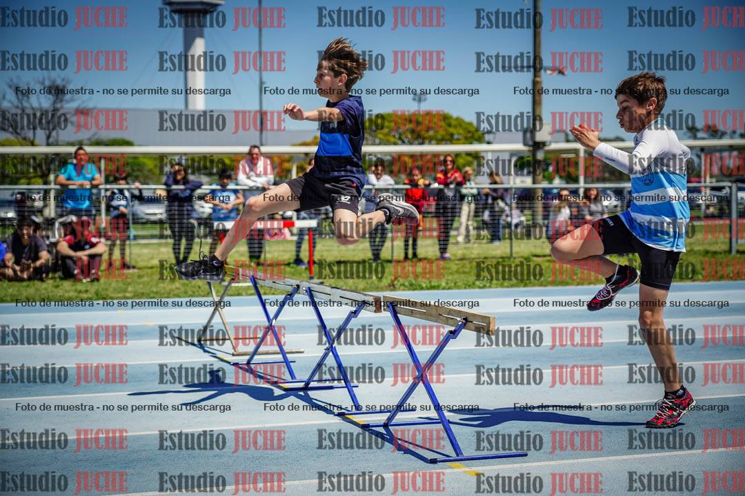 Fotos de los 60 m con vallas de varones