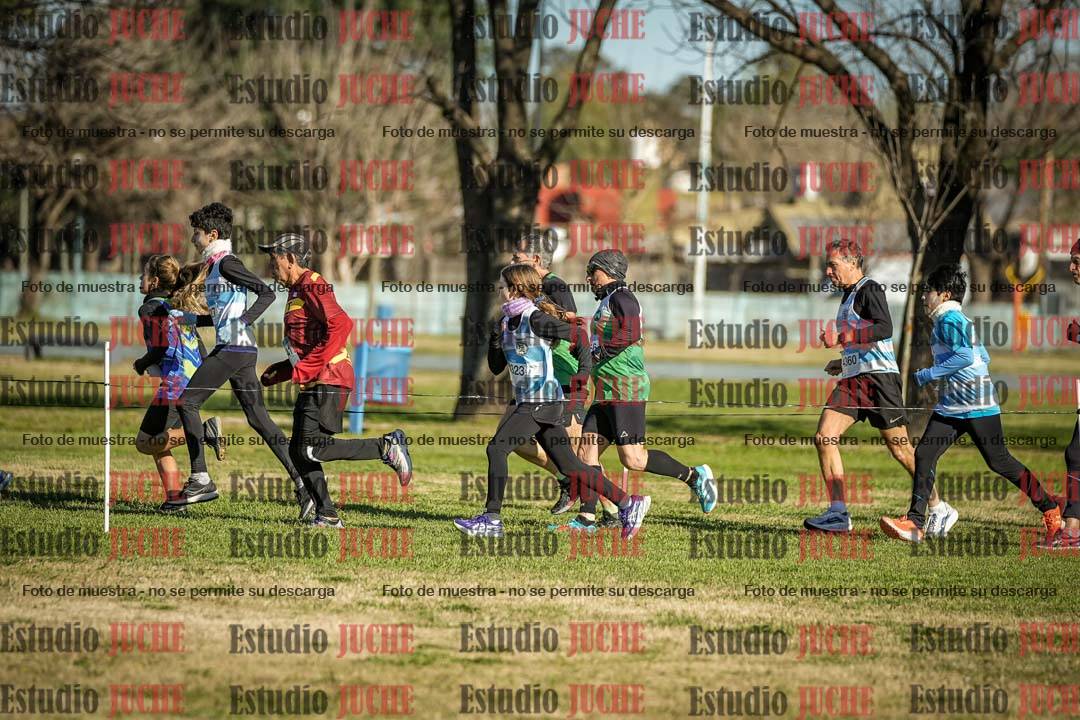 Fotos en el circuito