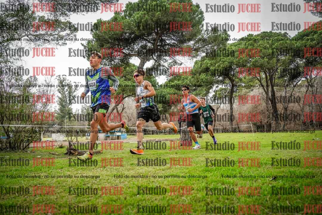 Fotos en el circuito