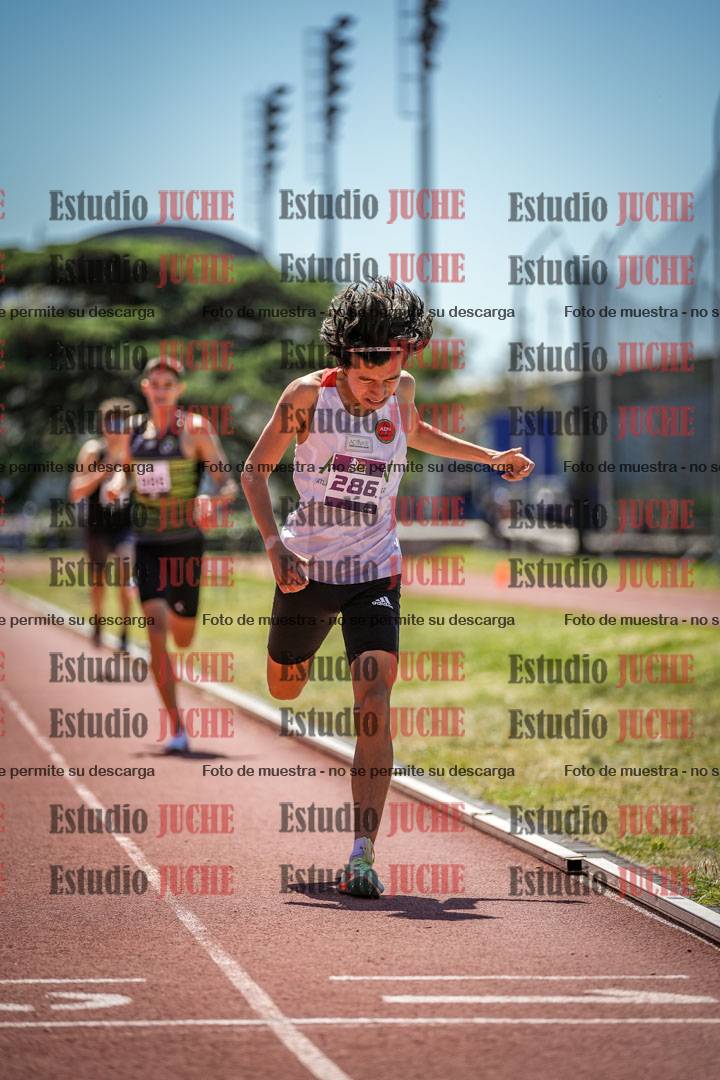 Fotos de los 800 m llanos de varones