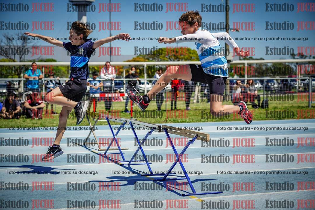 Fotos de los 60 m con vallas de varones