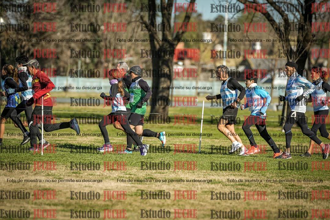 Fotos en el circuito
