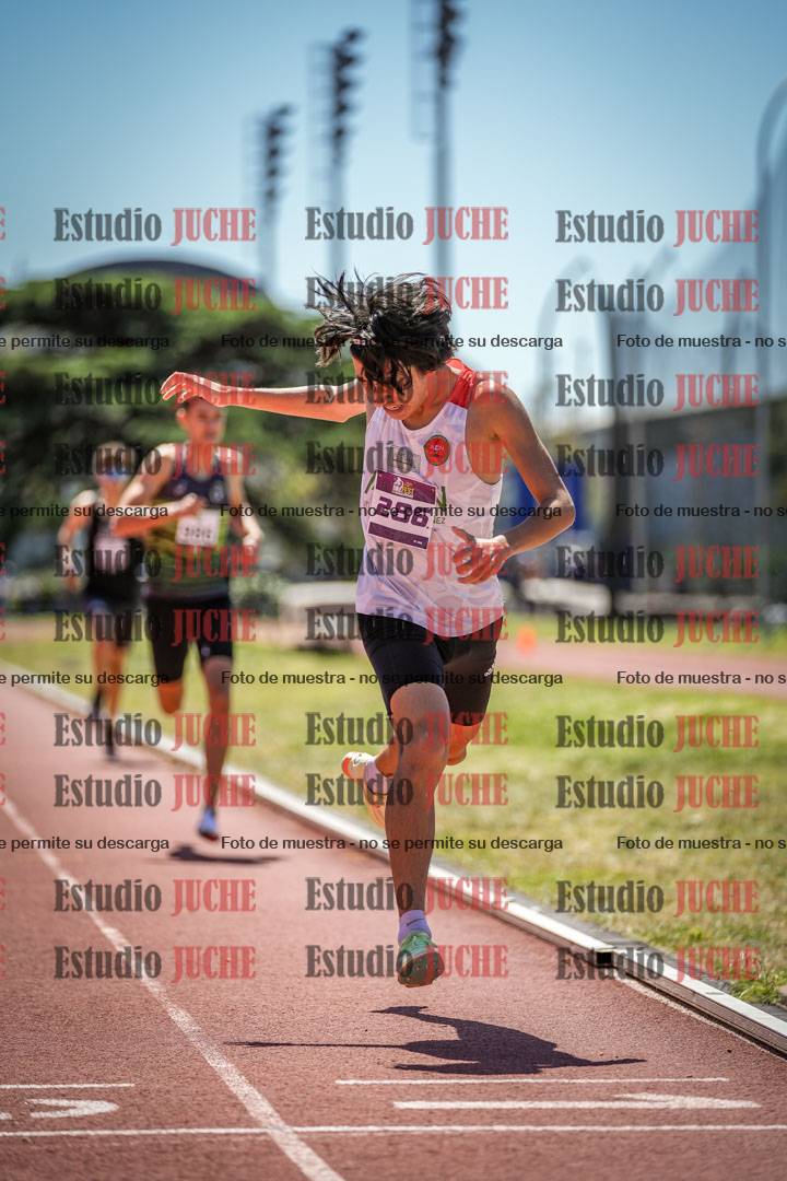 Fotos de los 800 m llanos de varones