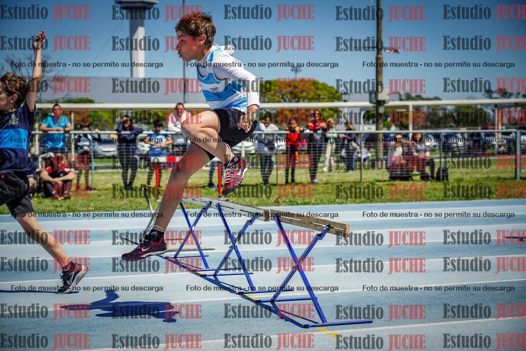 Fotos de los 60 m con vallas de varones