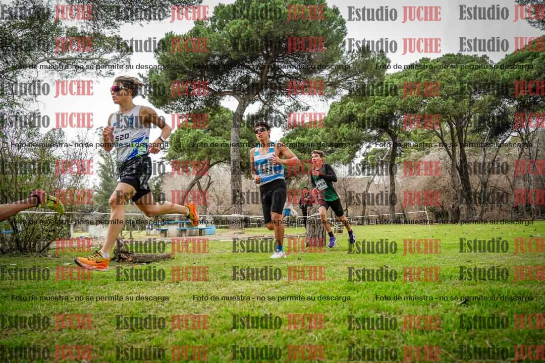 Fotos en el circuito