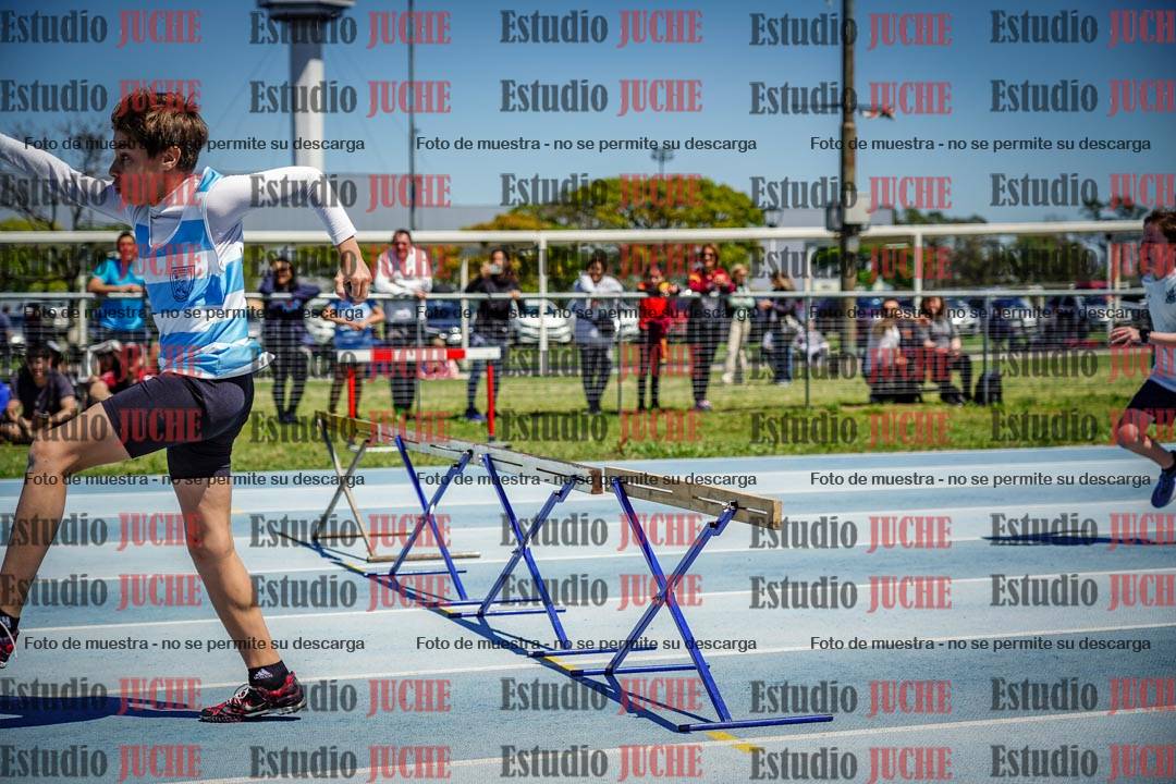 Fotos de los 60 m con vallas de varones