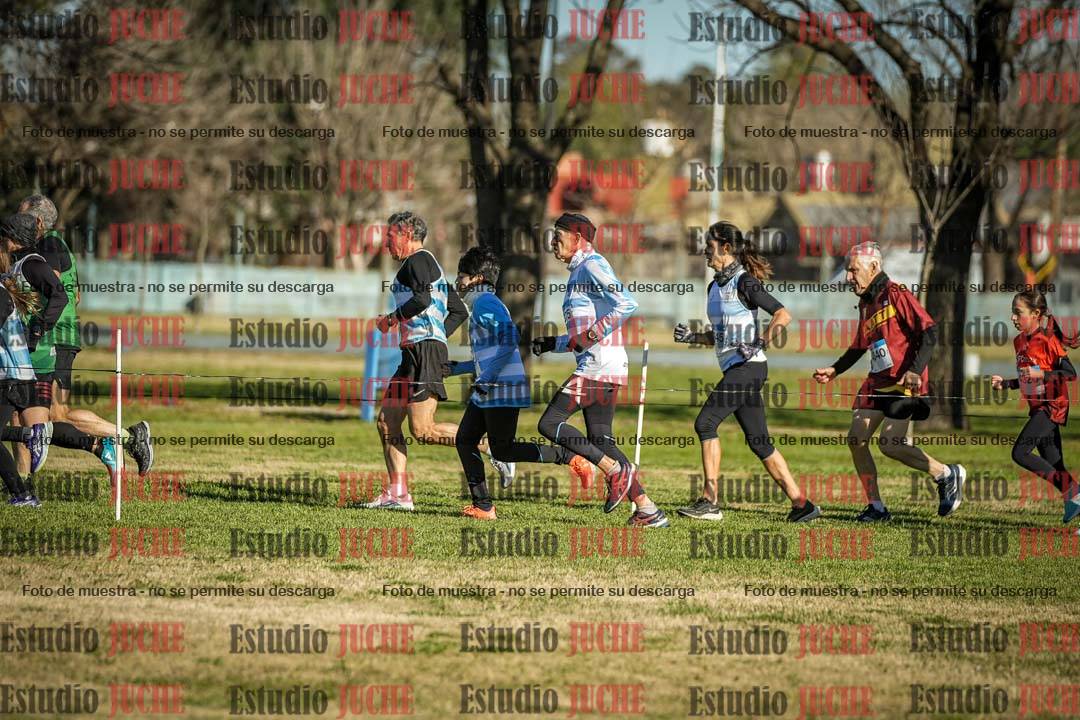 Fotos en el circuito