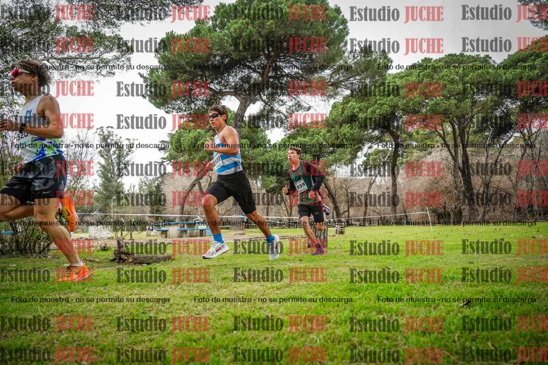 Fotos en el circuito