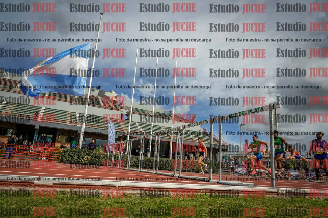Fotos de los 110 m con vallas de varones - FINAL