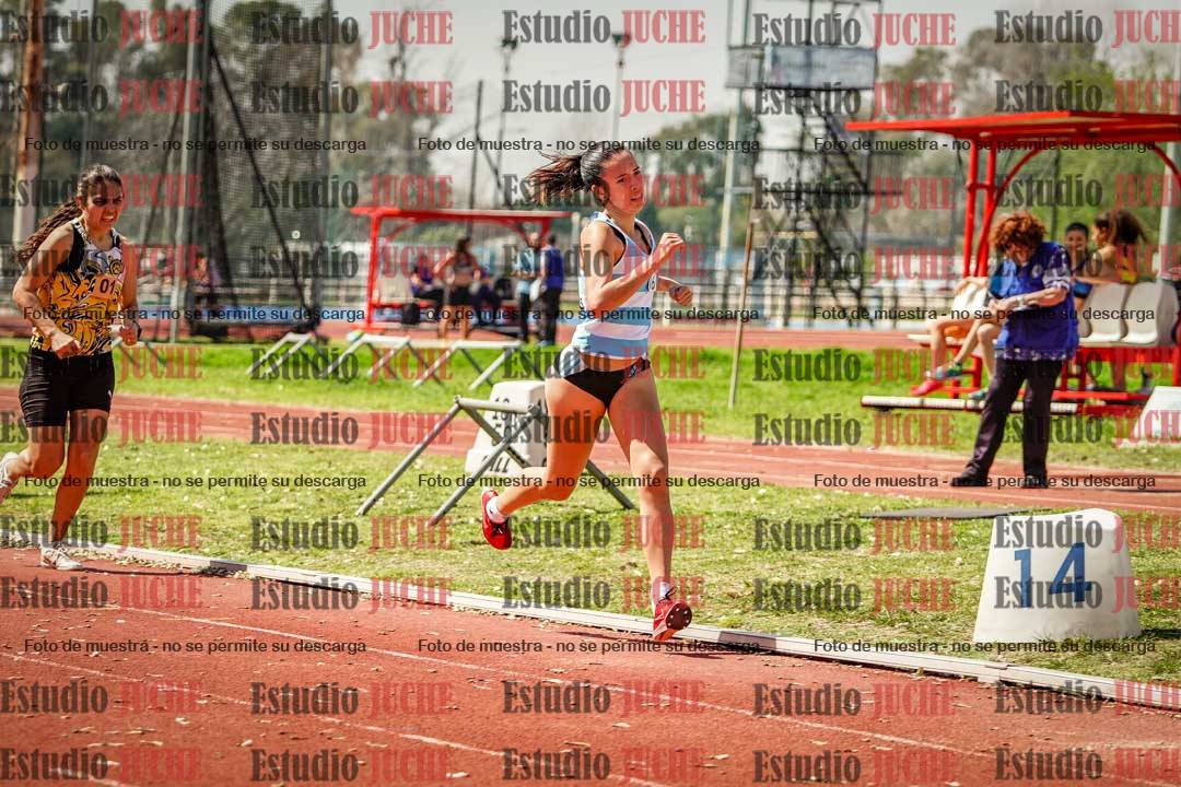 Fotos de los 1500 m llanos de mujeres