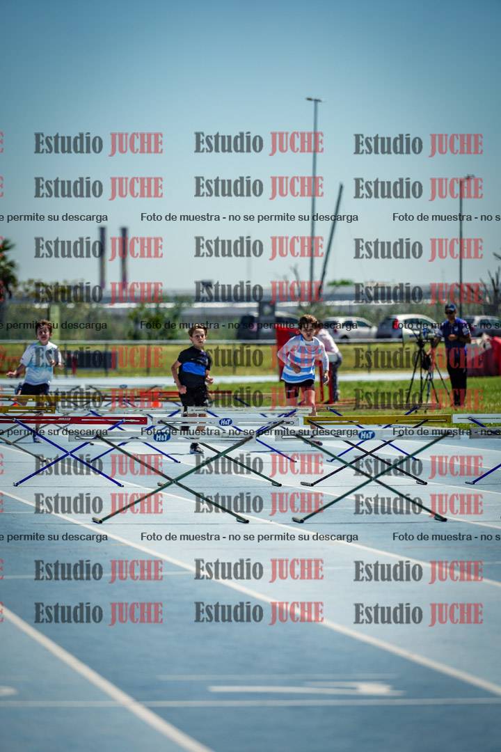 Fotos de los 60 m con vallas de varones
