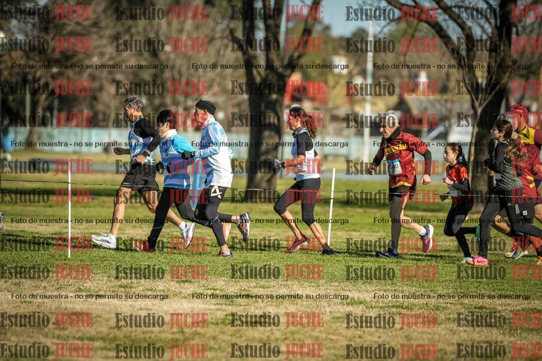 Fotos en el circuito
