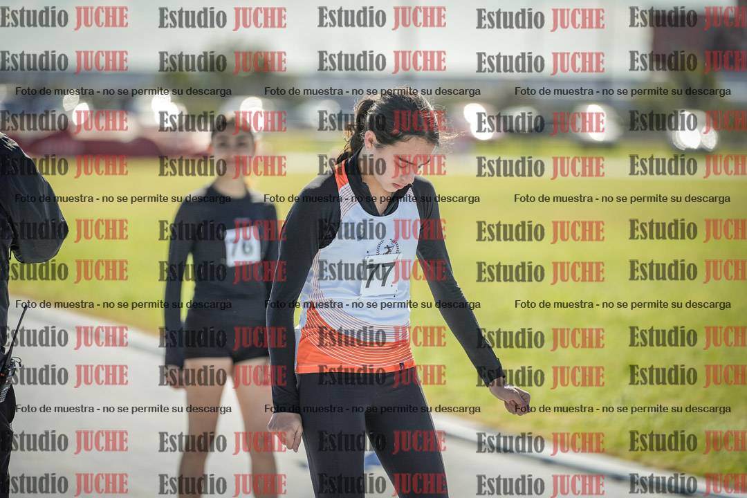 Fotos de los 800 m llanos de mujeres