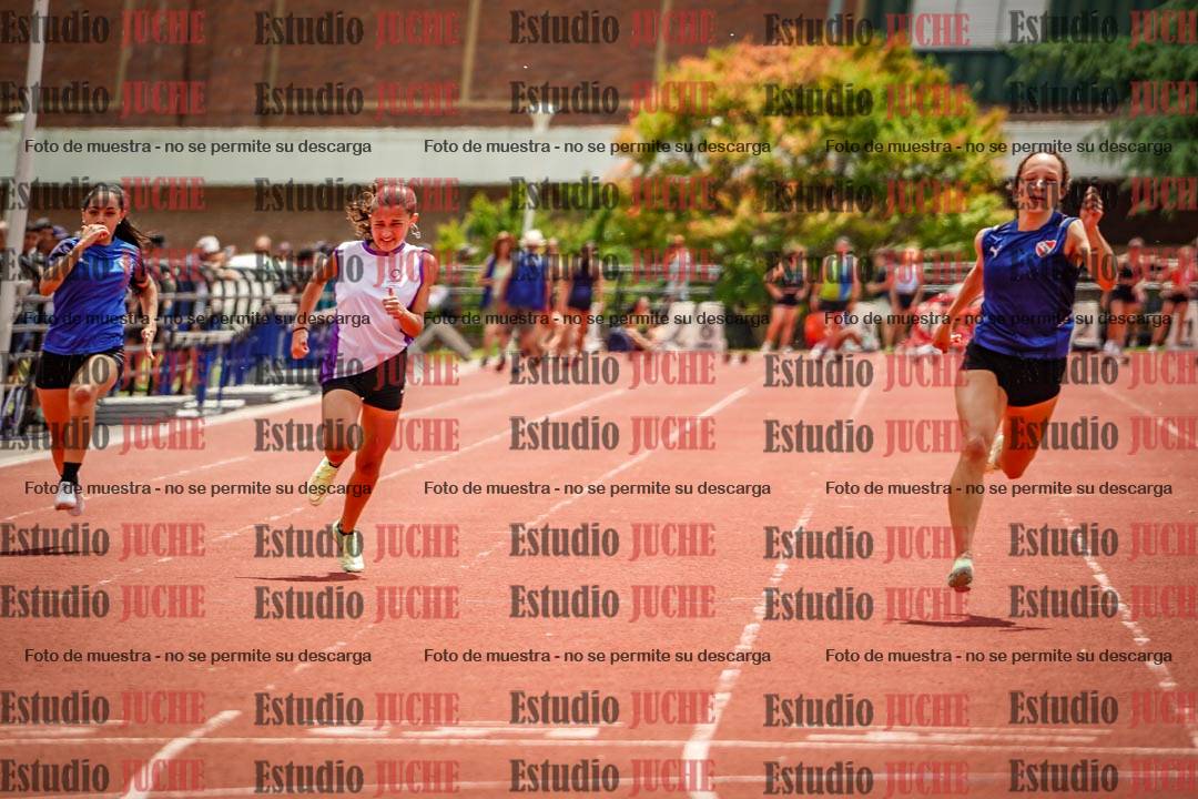 Fotos de los 100 m llanos de mujeres