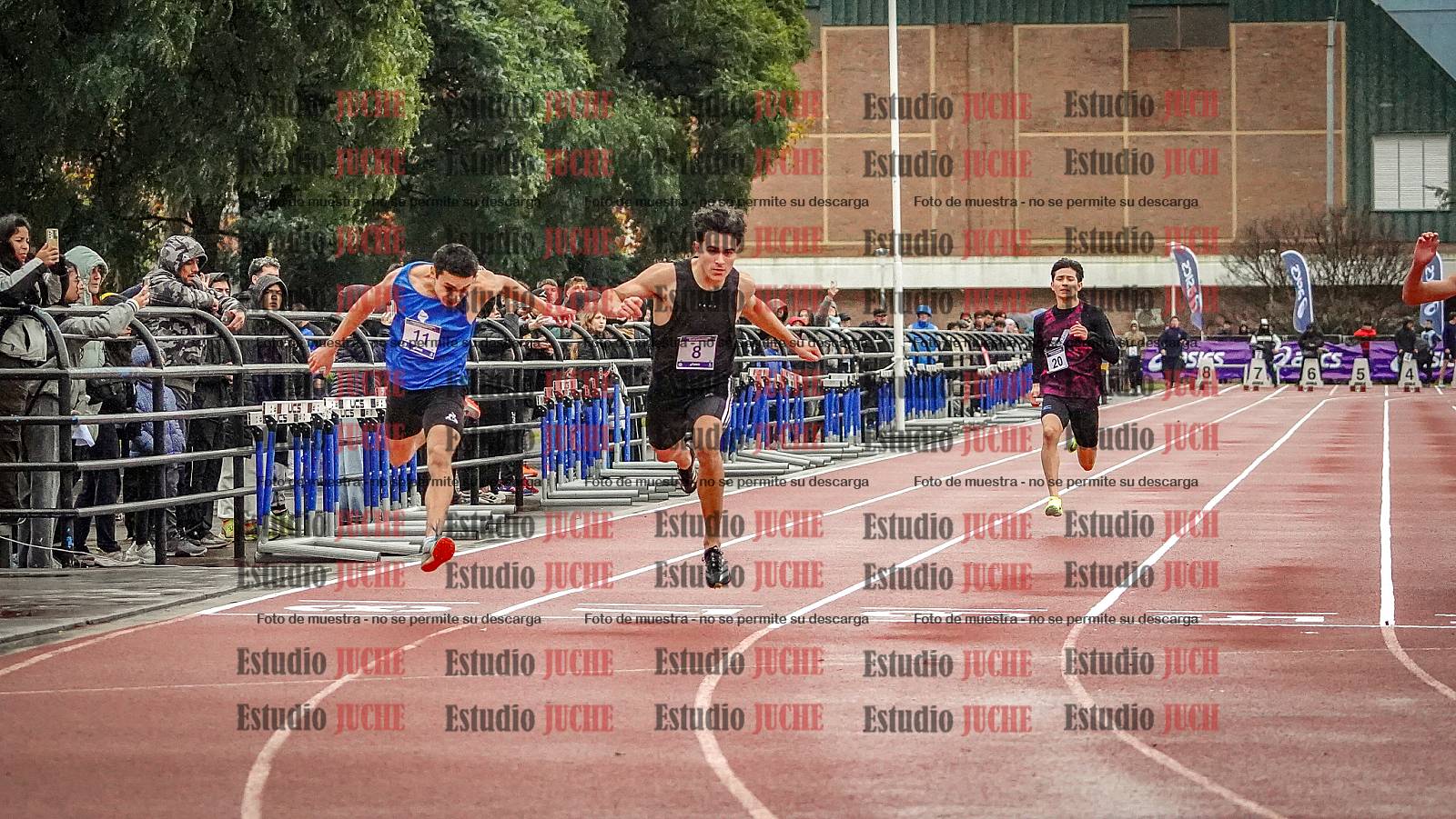 Fotos de los 100 m llanos de varones