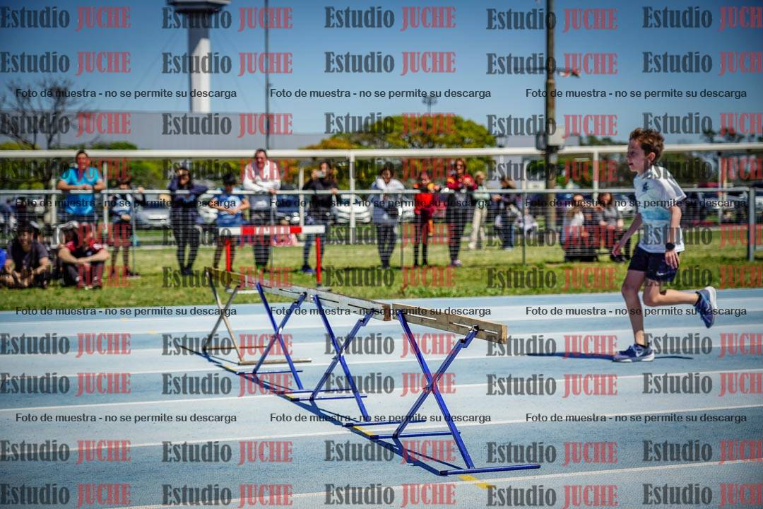 Fotos de los 60 m con vallas de varones