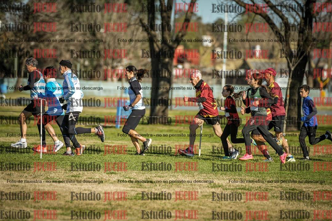 Fotos en el circuito