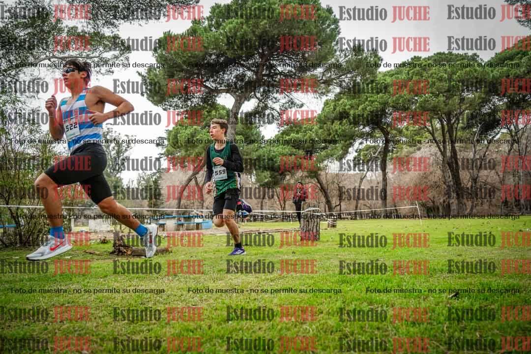 Fotos en el circuito