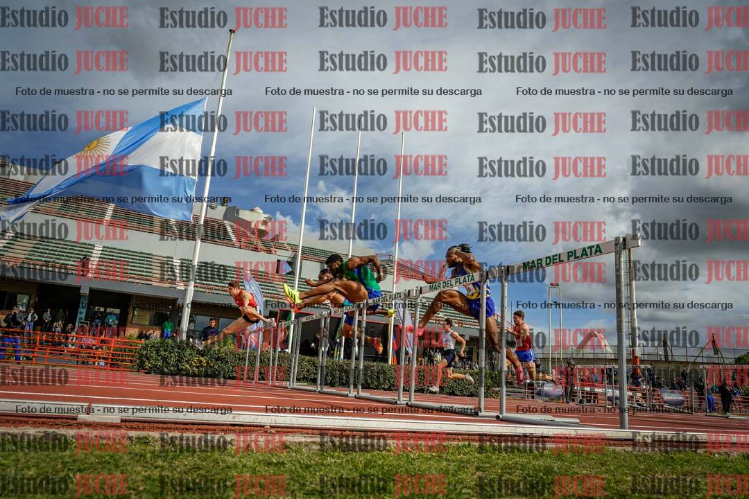 Fotos de los 110 m con vallas de varones - FINAL