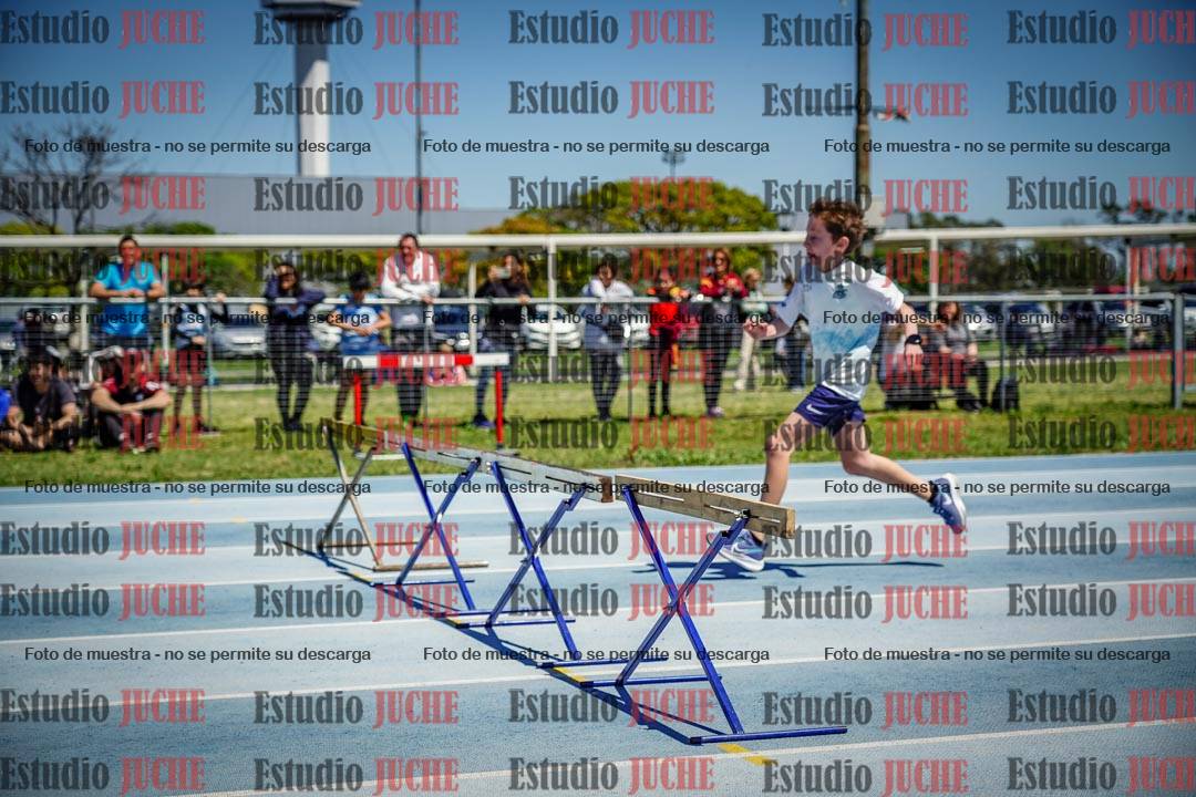 Fotos de los 60 m con vallas de varones