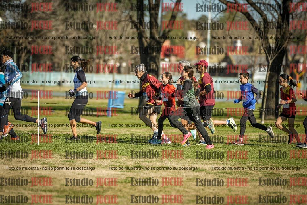 Fotos en el circuito