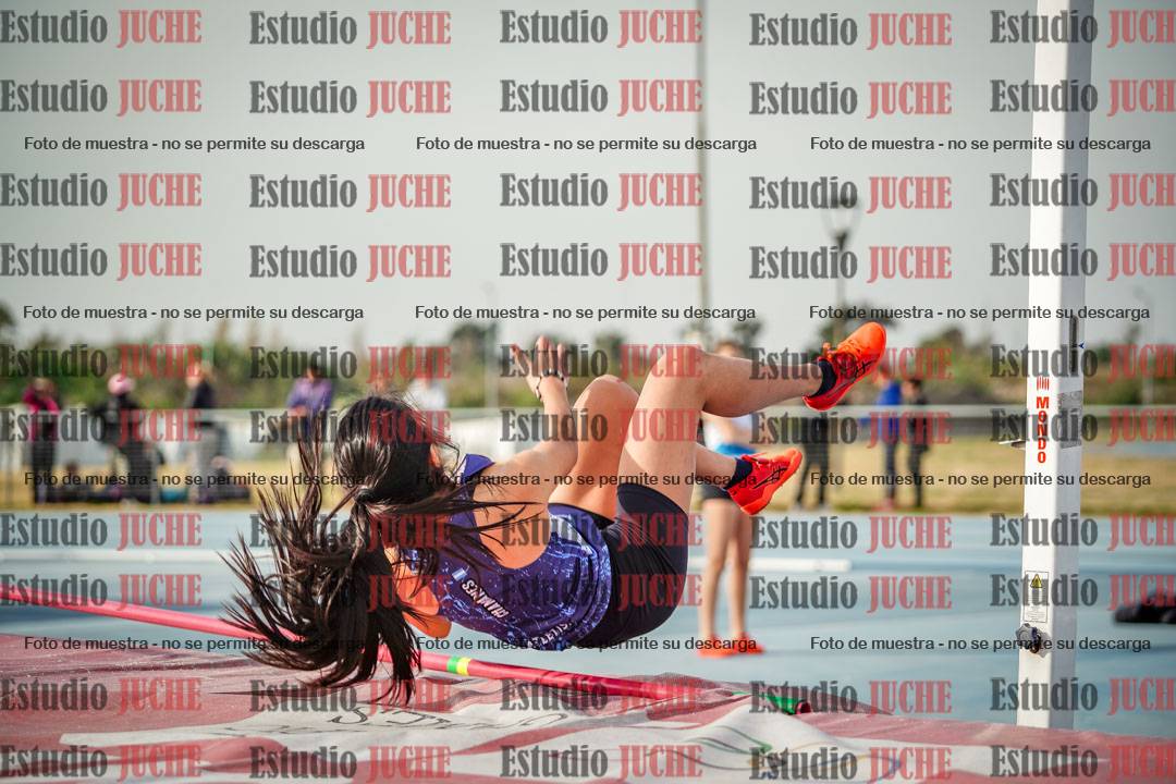 Fotos del salto en alto de mujeres